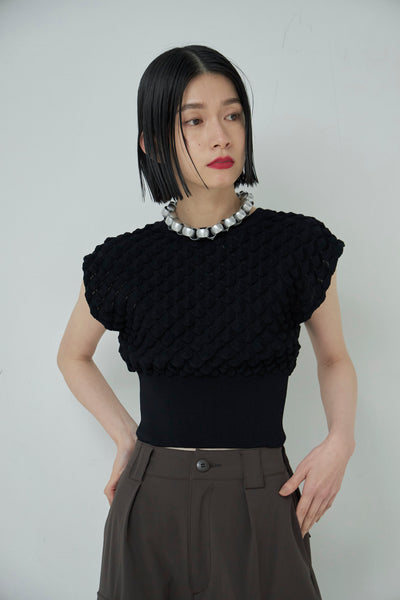 画像をギャラリービューアに読み込む, Scale Like knit vest