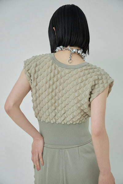 画像をギャラリービューアに読み込む, Scale Like knit vest