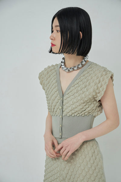 画像をギャラリービューアに読み込む, Scale Like knit vest