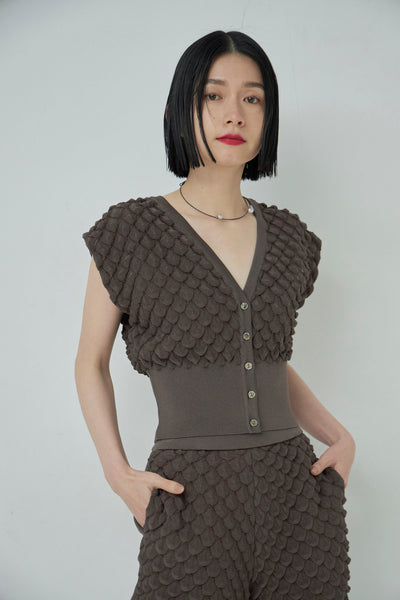 画像をギャラリービューアに読み込む, Scale Like knit vest