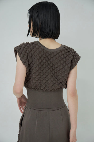 画像をギャラリービューアに読み込む, Scale Like knit vest