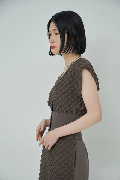 画像をギャラリービューアに読み込む, Scale Like knit vest