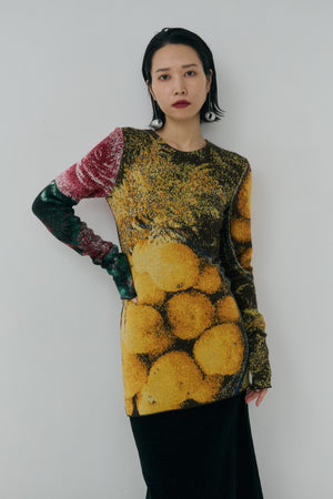 Photo Knit Pullover - A