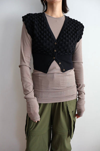 画像をギャラリービューアに読み込む, Scale Like knit vest