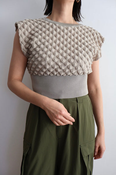 画像をギャラリービューアに読み込む, Scale Like knit vest