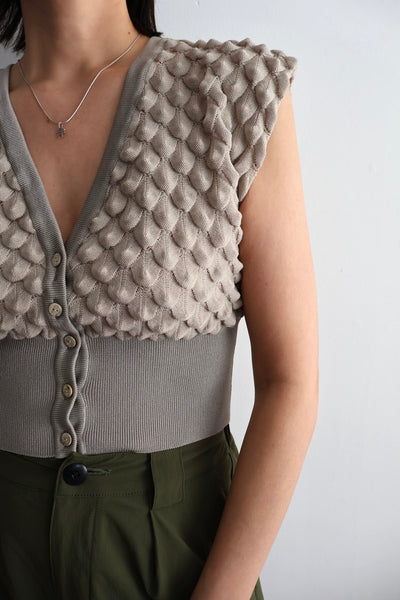 画像をギャラリービューアに読み込む, Scale Like knit vest