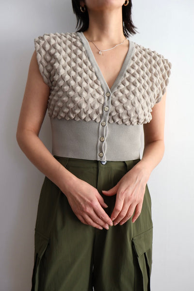 画像をギャラリービューアに読み込む, Scale Like knit vest