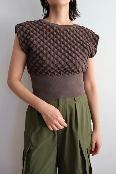 画像をギャラリービューアに読み込む, Scale Like knit vest