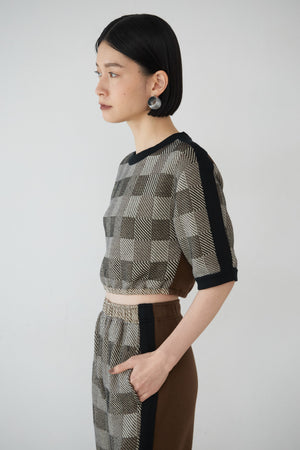 Checkered Cropped Knit Tops