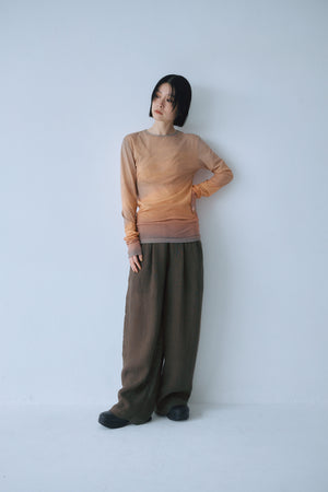 Sheer Fit Photo Top