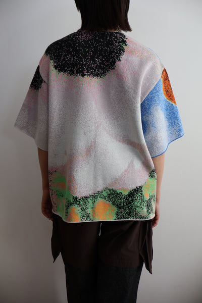 Load image into Gallery viewer, Photo Knit Big Pullover
