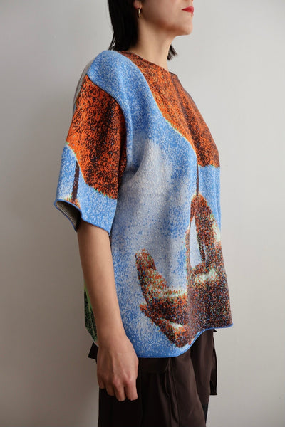 Load image into Gallery viewer, Photo Knit Big Pullover
