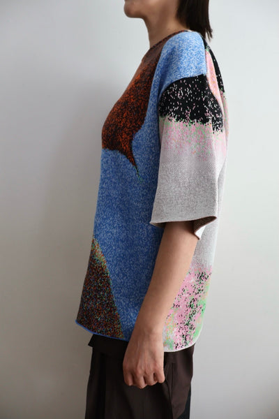 Load image into Gallery viewer, Photo Knit Big Pullover
